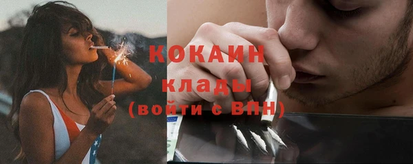 спайс Алексин